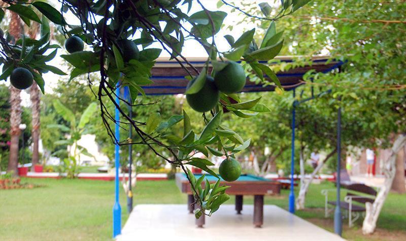 Tal Hotel Beldibi  Exterior foto